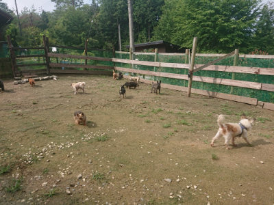 f:id:roukenhome-ann:20190728144508j:plain f:id:roukenhome-ann:20190728144508j:plain