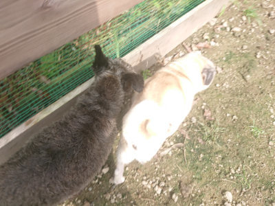 f:id:roukenhome-ann:20190728144523j:plain f:id:roukenhome-ann:20190728144523j:plain