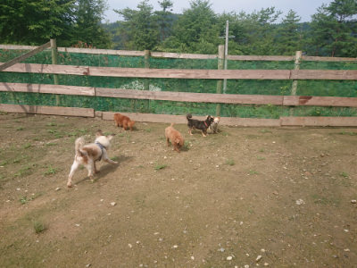 f:id:roukenhome-ann:20190728144528j:plain f:id:roukenhome-ann:20190728144528j:plain