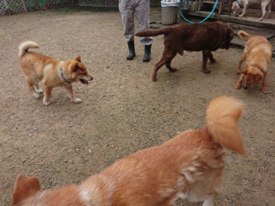 f:id:roukenhome-ann:20190728144532j:plain f:id:roukenhome-ann:20190728144532j:plain