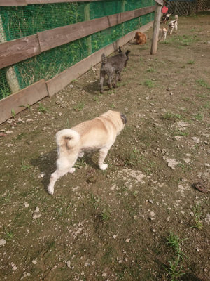 f:id:roukenhome-ann:20190728144543j:plain f:id:roukenhome-ann:20190728144543j:plain