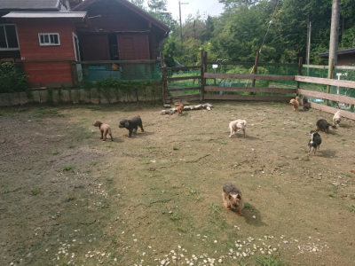 f:id:roukenhome-ann:20190728144550j:plain f:id:roukenhome-ann:20190728144550j:plain