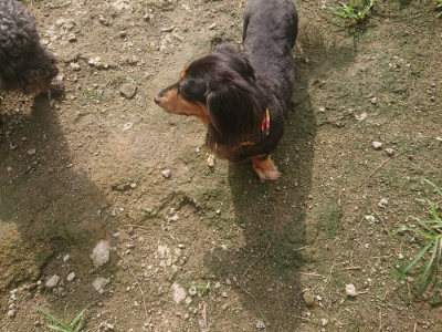 f:id:roukenhome-ann:20190728144622j:plain f:id:roukenhome-ann:20190728144622j:plain