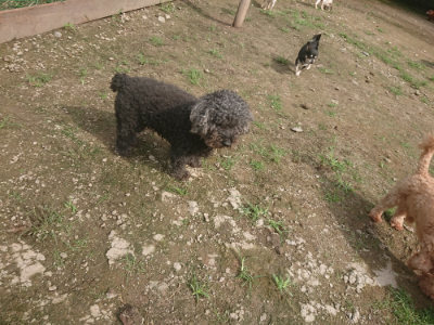 f:id:roukenhome-ann:20190728144648j:plain f:id:roukenhome-ann:20190728144648j:plain