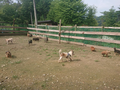 f:id:roukenhome-ann:20190728144700j:plain f:id:roukenhome-ann:20190728144700j:plain