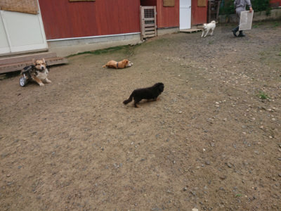 f:id:roukenhome-ann:20190728144707j:plain f:id:roukenhome-ann:20190728144707j:plain