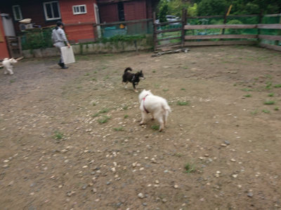 f:id:roukenhome-ann:20190728144713j:plain f:id:roukenhome-ann:20190728144713j:plain