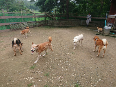 f:id:roukenhome-ann:20190728144823j:plain f:id:roukenhome-ann:20190728144823j:plain