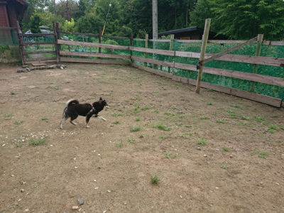 f:id:roukenhome-ann:20190728144837j:plain f:id:roukenhome-ann:20190728144837j:plain