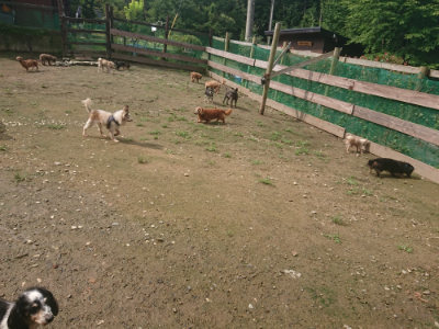 f:id:roukenhome-ann:20190728144849j:plain f:id:roukenhome-ann:20190728144849j:plain