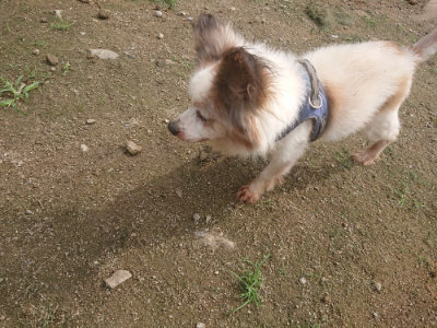 f:id:roukenhome-ann:20190728144908j:plain f:id:roukenhome-ann:20190728144908j:plain