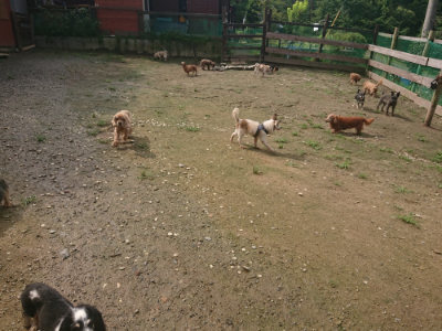 f:id:roukenhome-ann:20190728144912j:plain f:id:roukenhome-ann:20190728144912j:plain