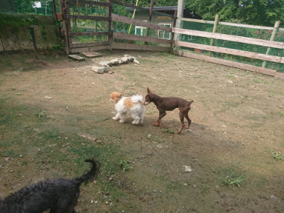 f:id:roukenhome-ann:20190728145008j:plain f:id:roukenhome-ann:20190728145008j:plain