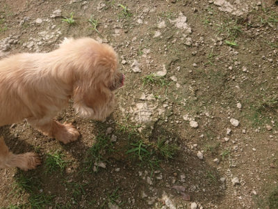 f:id:roukenhome-ann:20190728145026j:plain f:id:roukenhome-ann:20190728145026j:plain