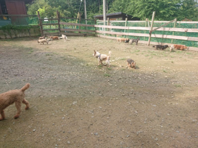 f:id:roukenhome-ann:20190728145032j:plain f:id:roukenhome-ann:20190728145032j:plain