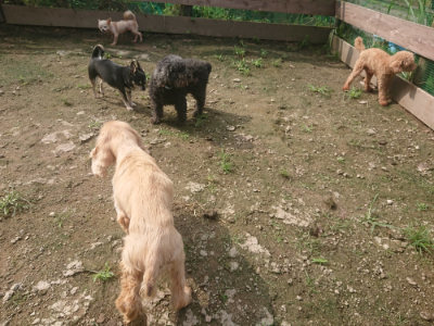 f:id:roukenhome-ann:20190728145047j:plain f:id:roukenhome-ann:20190728145047j:plain