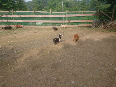 f:id:roukenhome-ann:20190728145052j:plain f:id:roukenhome-ann:20190728145052j:plain