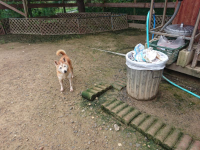 f:id:roukenhome-ann:20190728145058j:plain f:id:roukenhome-ann:20190728145058j:plain