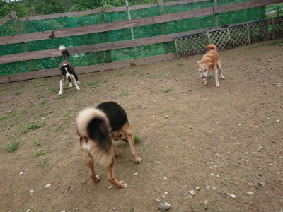 f:id:roukenhome-ann:20190728145103j:plain f:id:roukenhome-ann:20190728145103j:plain