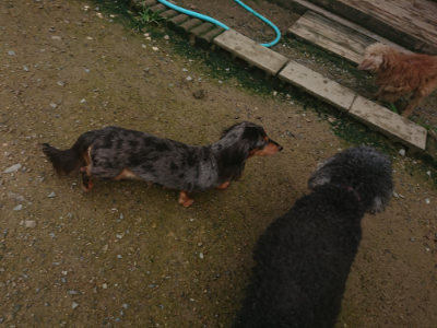 f:id:roukenhome-ann:20190728145117j:plain f:id:roukenhome-ann:20190728145117j:plain