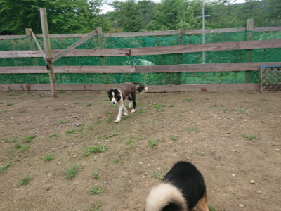 f:id:roukenhome-ann:20190728145124j:plain f:id:roukenhome-ann:20190728145124j:plain