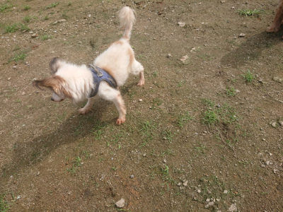 f:id:roukenhome-ann:20190728145136j:plain f:id:roukenhome-ann:20190728145136j:plain