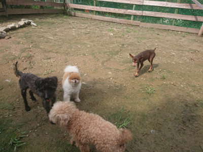 f:id:roukenhome-ann:20190728145146j:plain f:id:roukenhome-ann:20190728145146j:plain