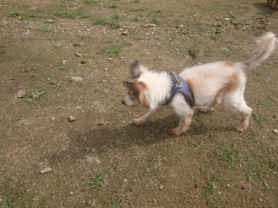 f:id:roukenhome-ann:20190728145152j:plain f:id:roukenhome-ann:20190728145152j:plain
