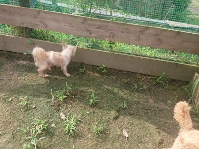 f:id:roukenhome-ann:20190728145225j:plain f:id:roukenhome-ann:20190728145225j:plain