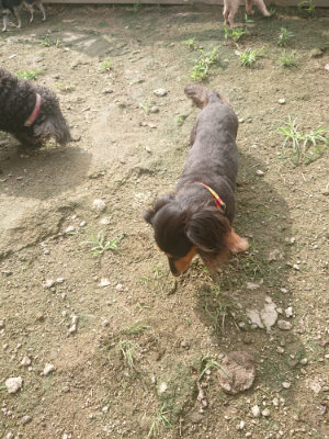 f:id:roukenhome-ann:20190728145232j:plain f:id:roukenhome-ann:20190728145232j:plain