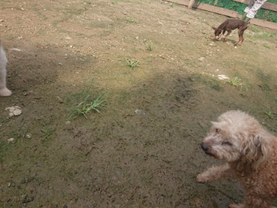 f:id:roukenhome-ann:20190728145247j:plain f:id:roukenhome-ann:20190728145247j:plain