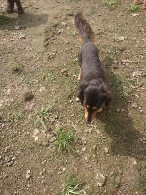 f:id:roukenhome-ann:20190728145259j:plain f:id:roukenhome-ann:20190728145259j:plain