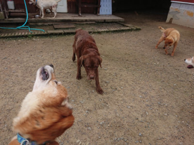 f:id:roukenhome-ann:20190728145313j:plain f:id:roukenhome-ann:20190728145313j:plain
