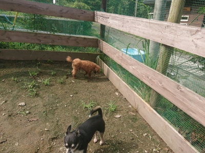 f:id:roukenhome-ann:20190728145319j:plain f:id:roukenhome-ann:20190728145319j:plain