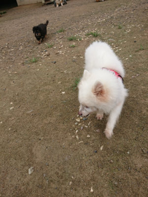 f:id:roukenhome-ann:20190728145324j:plain f:id:roukenhome-ann:20190728145324j:plain