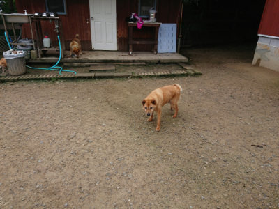 f:id:roukenhome-ann:20190728145330j:plain f:id:roukenhome-ann:20190728145330j:plain