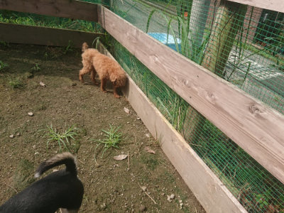 f:id:roukenhome-ann:20190728145341j:plain f:id:roukenhome-ann:20190728145341j:plain