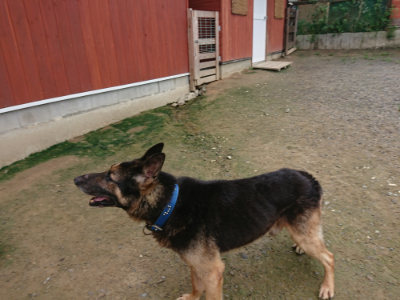 f:id:roukenhome-ann:20190728145352j:plain f:id:roukenhome-ann:20190728145352j:plain