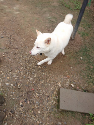 f:id:roukenhome-ann:20190728145417j:plain f:id:roukenhome-ann:20190728145417j:plain
