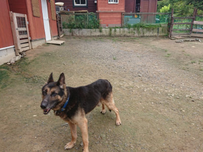 f:id:roukenhome-ann:20190728145428j:plain f:id:roukenhome-ann:20190728145428j:plain