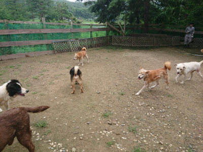 f:id:roukenhome-ann:20190728170956j:plain f:id:roukenhome-ann:20190728170956j:plain