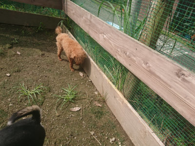 f:id:roukenhome-ann:20190728171002j:plain f:id:roukenhome-ann:20190728171002j:plain