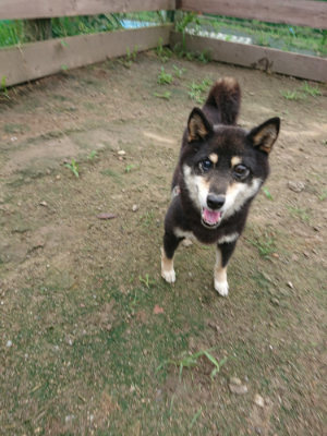 f:id:roukenhome-ann:20190728171030j:plain f:id:roukenhome-ann:20190728171030j:plain