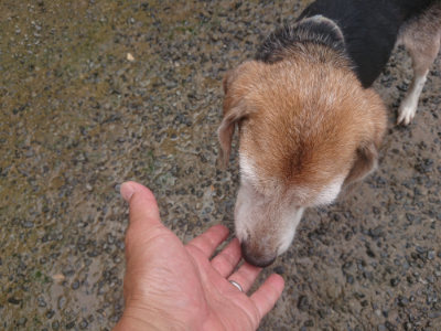 f:id:roukenhome-ann:20190728171046j:plain f:id:roukenhome-ann:20190728171046j:plain