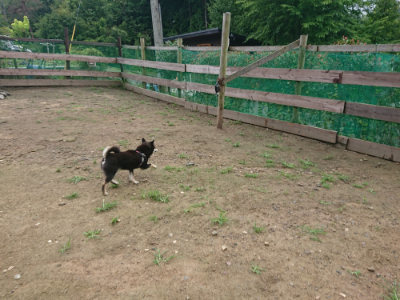 f:id:roukenhome-ann:20190728171051j:plain f:id:roukenhome-ann:20190728171051j:plain