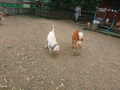 f:id:roukenhome-ann:20190728171059j:plain f:id:roukenhome-ann:20190728171059j:plain