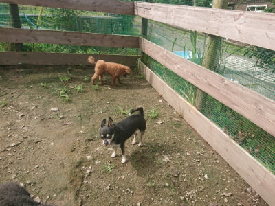 f:id:roukenhome-ann:20190728171127j:plain f:id:roukenhome-ann:20190728171127j:plain