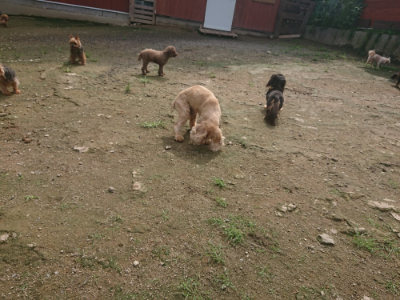 f:id:roukenhome-ann:20190728171146j:plain f:id:roukenhome-ann:20190728171146j:plain