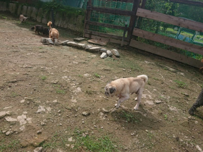 f:id:roukenhome-ann:20190728171152j:plain f:id:roukenhome-ann:20190728171152j:plain