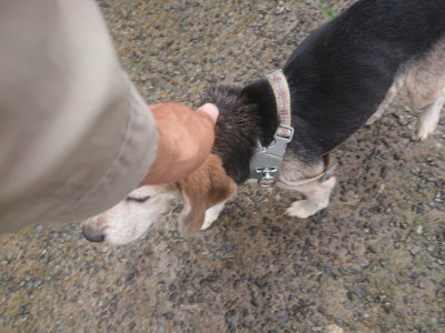 f:id:roukenhome-ann:20190728171206j:plain f:id:roukenhome-ann:20190728171206j:plain